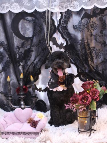 20231021ひじきちゃん